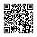To view this 2013 Chrysler 200 Tampa FL from ABC Autos, Inc. | Used Cars Tampa and Wimauma FL | Buy Here Pay Here, please scan this QR code with your smartphone or tablet to view the mobile version of this page.