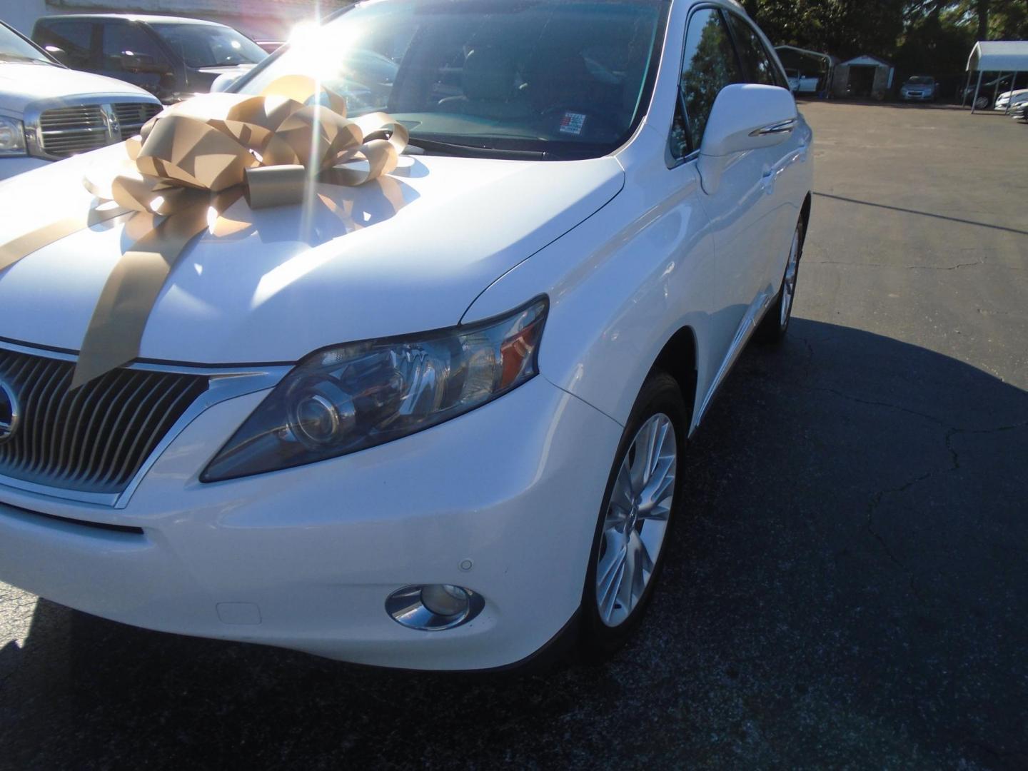 2011 Lexus RX 450h FWD (JTJZB1BA7B2) with an 3.5L V6 DOHC 24V HYBRID engine, 5-Speed Automatic transmission, located at 6112 N Florida Avenue, Tampa, FL, 33604, (888) 521-5131, 27.954929, -82.459534 - Photo#2