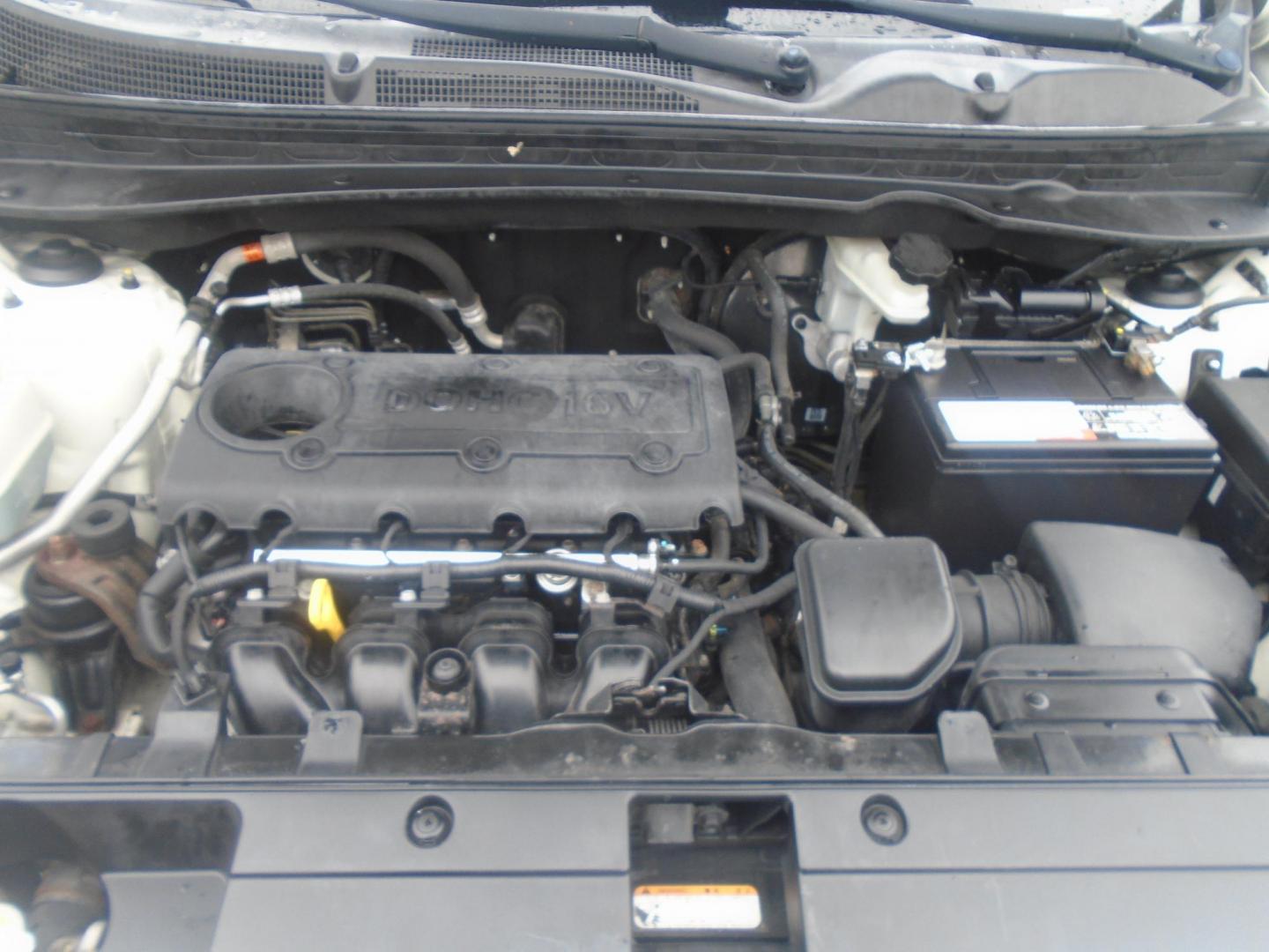 2012 Kia Sportage EX FWD (KNDPC3A26C7) with an 2.4L V6 DOHC 24V engine, 6-Speed Automatic transmission, located at 6112 N Florida Avenue, Tampa, FL, 33604, (888) 521-5131, 27.954929, -82.459534 - Photo#10