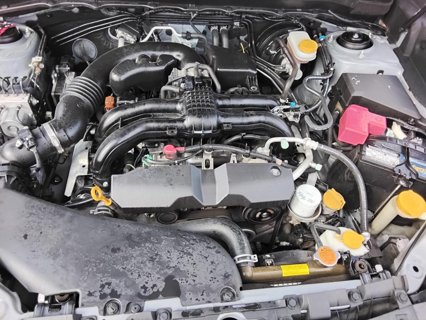 2015 GREEN /Beige Subaru Forester 2.5i Premium (JF2SJADC4FH) with an 2.5L H4 SOHC 16V engine, 6-Speed Automatic transmission, located at 6112 N Florida Avenue, Tampa, FL, 33604, (888) 521-5131, 27.954929, -82.459534 - 499$ DOWN PLUS TAX & TAG. - Photo#15