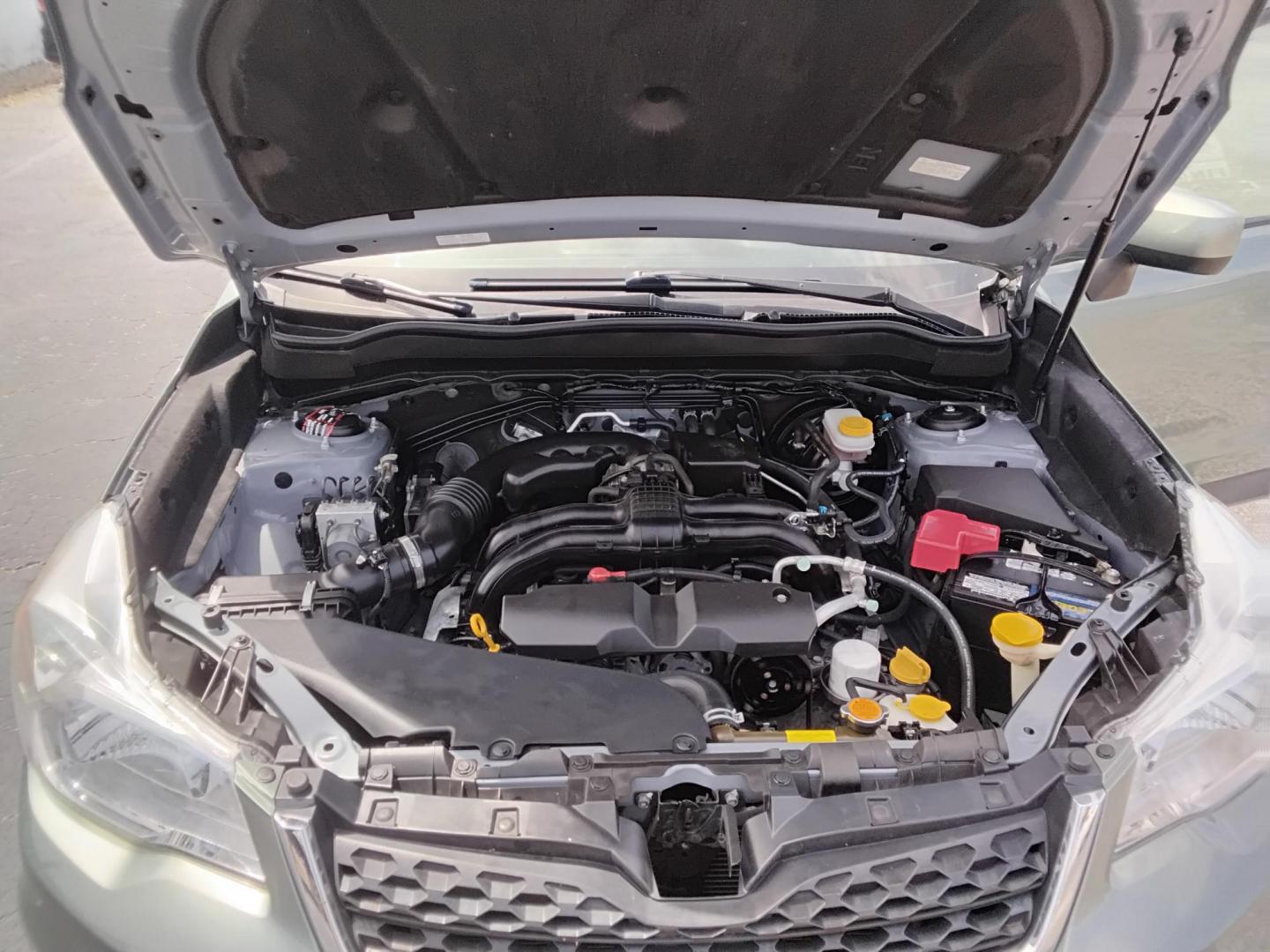 2015 GREEN /Beige Subaru Forester 2.5i Premium (JF2SJADC4FH) with an 2.5L H4 SOHC 16V engine, 6-Speed Automatic transmission, located at 6112 N Florida Avenue, Tampa, FL, 33604, (888) 521-5131, 27.954929, -82.459534 - 499$ DOWN PLUS TAX & TAG. - Photo#9