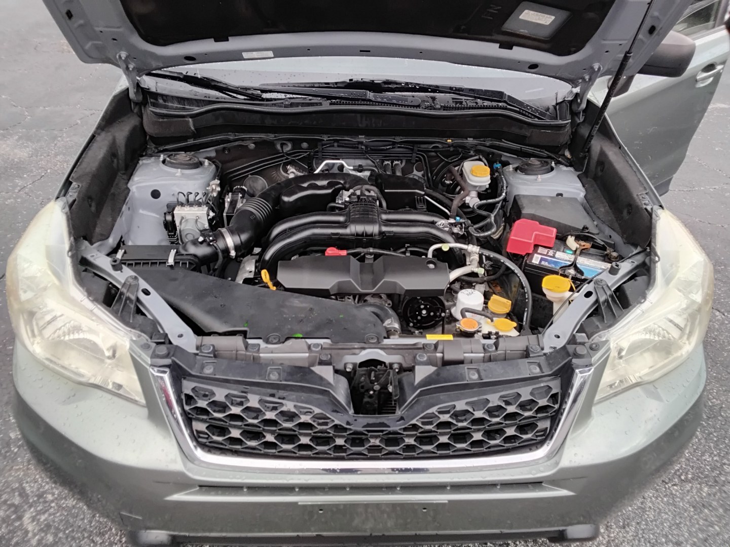 2014 MINT GREEN /Beige Subaru Forester 2.5i (JF2SJAAC3EH) with an 2.5L H4 SOHC 16V engine, 6-Speed Automatic transmission, located at 6112 N Florida Avenue, Tampa, FL, 33604, (888) 521-5131, 27.954929, -82.459534 - $499 DOWN PLUS TAX & TAG.- Photo#17