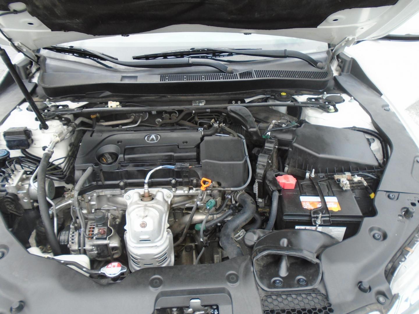 2015 WHITE /Beige Acura TLX 8-Spd DCT (19UUB1F35FA) with an 2.5L L4 DOHC 16V engine, 8-Speed Automatic transmission, located at 6112 N Florida Avenue, Tampa, FL, 33604, (888) 521-5131, 27.954929, -82.459534 - 499$ DOWN PLUX TAX & TAG - Photo#9