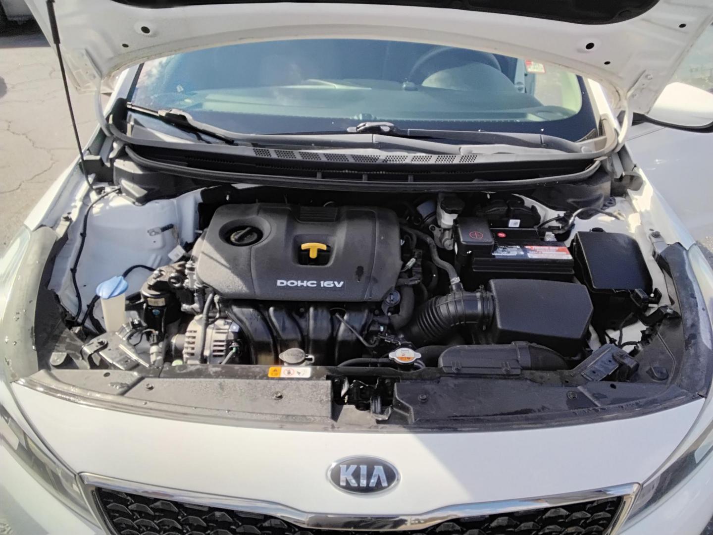 2017 White /Black Kia Forte LX 6M (3KPFK4A7XHE) with an 2.0L L4 DOHC 16V engine, 6M transmission, located at 6112 N Florida Avenue, Tampa, FL, 33604, (888) 521-5131, 27.954929, -82.459534 - 499 DOWN PLUS TAX & TAG. - Photo#14