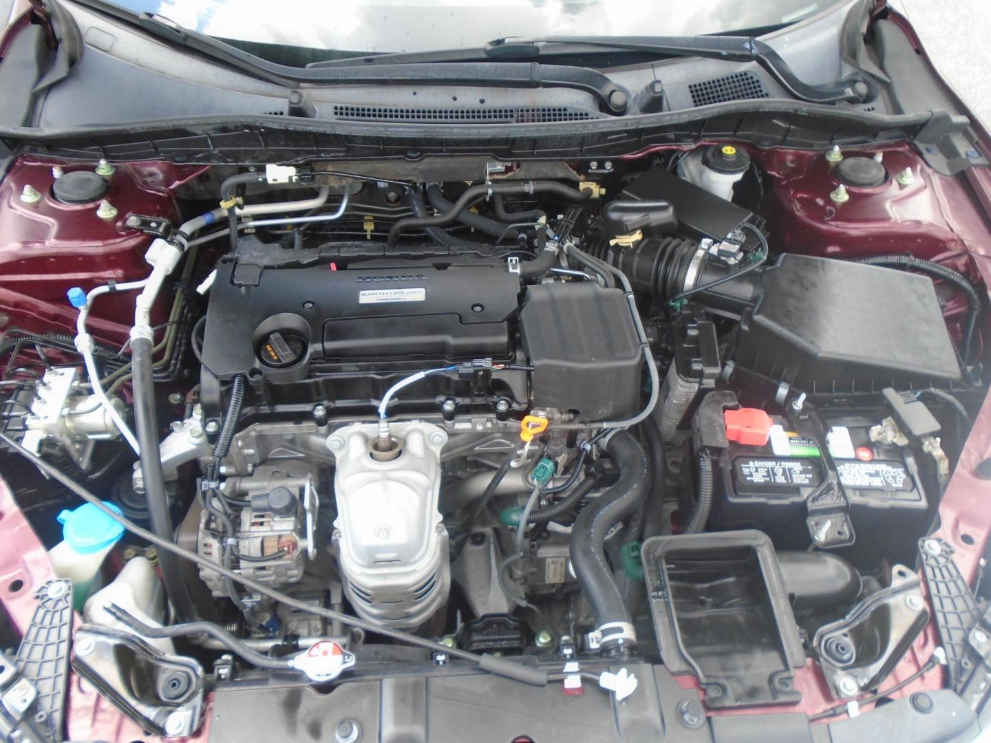2017 RED /Beige Honda Accord LX Sedan CVT (1HGCR2F3XHA) with an 2.4L L4 DOHC 16V engine, CVT transmission, located at 6112 N Florida Avenue, Tampa, FL, 33604, (888) 521-5131, 27.954929, -82.459534 - 499$ DOWN PLUS TAX & TAG. - Photo#15