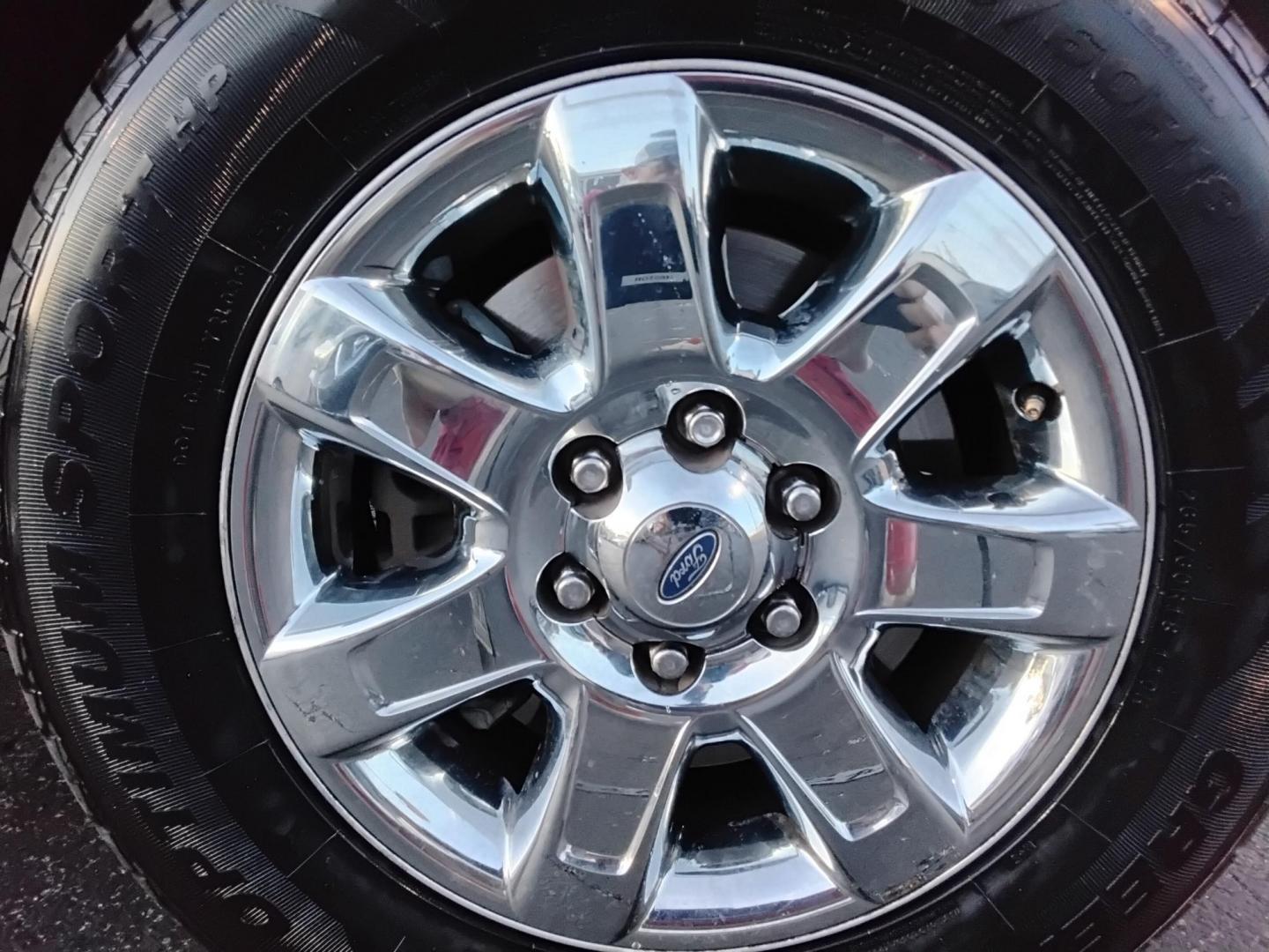 2014 GRAY /Grey Ford F-150 FX2 SuperCrew 5.5-ft. Bed 2WD (1FTFW1CF0EK) with an 5.0L V8 engine, 6-Speed Automatic transmission, located at 6112 N Florida Avenue, Tampa, FL, 33604, (888) 521-5131, 27.954929, -82.459534 - 499$ DOWN PLUS TAX & TAG. - Photo#17