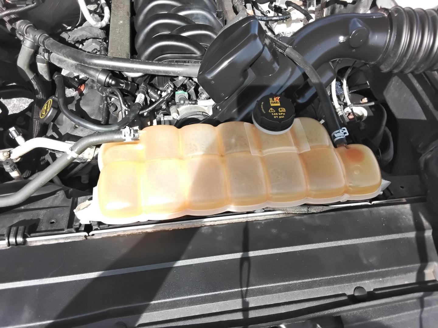 2016 White /Grey Ford F-150 XLT SuperCrew 6.5-ft. Bed 4WD (1FTEW1EFXGF) with an 5.0L V8 engine, 6A transmission, located at 6112 N Florida Avenue, Tampa, FL, 33604, (888) 521-5131, 27.954929, -82.459534 - $499 DOWN PLUS TAX & TAG. - Photo#18