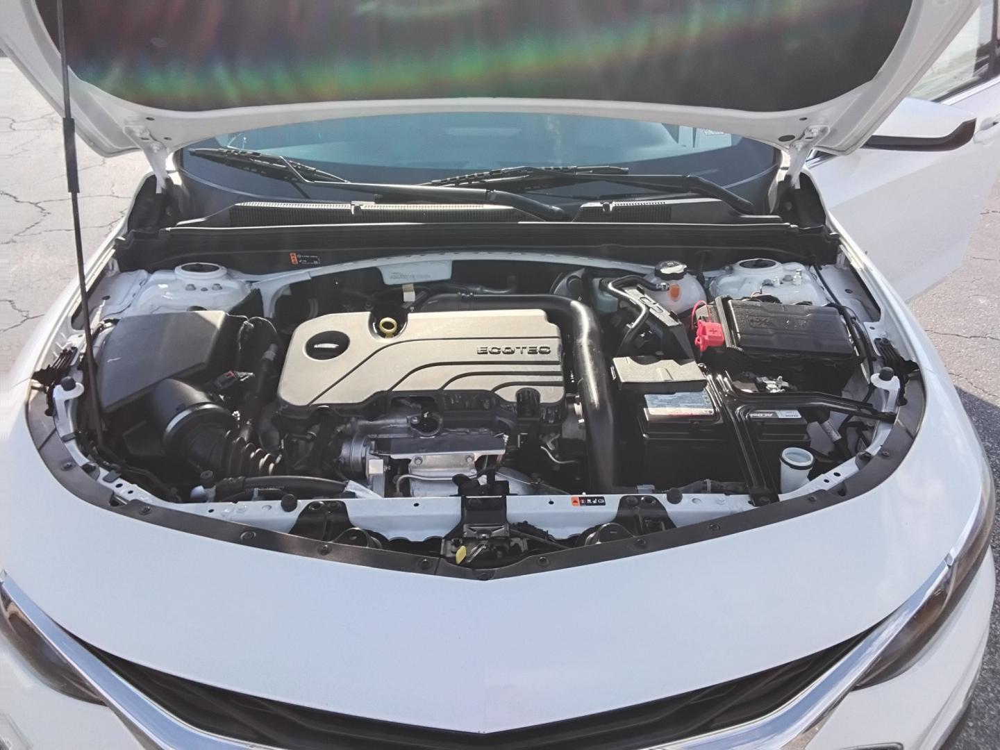 2022 White /GREY Chevrolet Malibu 1FL (1G1ZC5STXNF) with an 1.5L L4 DOHC 16V engine, 6A transmission, located at 6112 N Florida Avenue, Tampa, FL, 33604, (888) 521-5131, 27.954929, -82.459534 - $499 DOWN PLUS TAX & TAG.- Photo#12