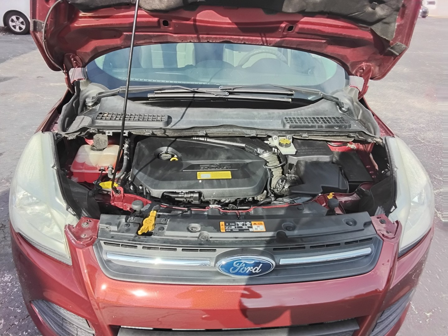 2014 RED /GREY Ford Escape SE FWD (1FMCU0GX2EU) with an 1.6L L4 DOHC 16V engine, 6-Speed Automatic transmission, located at 6112 N Florida Avenue, Tampa, FL, 33604, (888) 521-5131, 27.954929, -82.459534 - $499 down plus tax & tag.- Photo#13